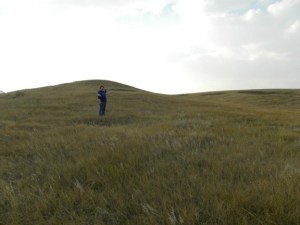 Jennifer Harty, archaeologist of the Americas.