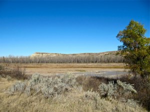 Elkhorn Ranch Images Revisiting Dee Taylor’s Archaeology of Roosevelt’s Elkhorn Ranch | The ...