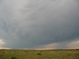 One of the only known photos to survive the pedestrian survey from southeastern Montana, summer 2008.