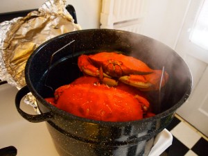 Sensibly priced Dungeness crab.